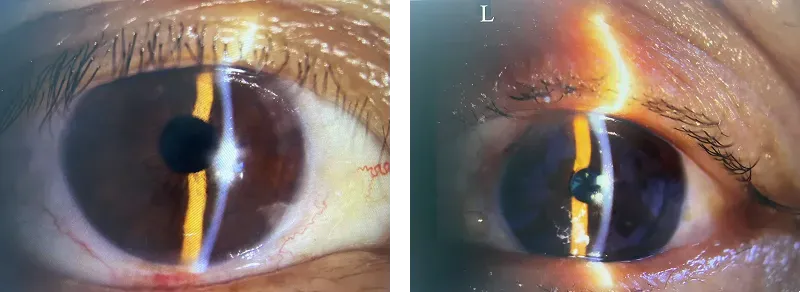 Group 1000003746 Group 1000003746